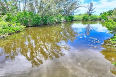 (private lake, pond, creek) Home For Sale in Naples Florida