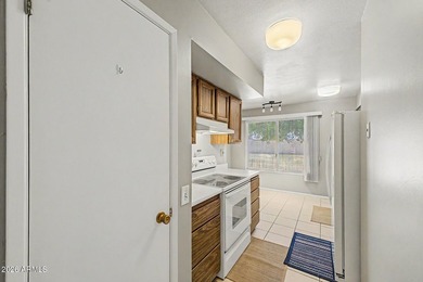 Move-in ready twin home in Sun City! 2 beds, 2 baths, 1-car - photo 11