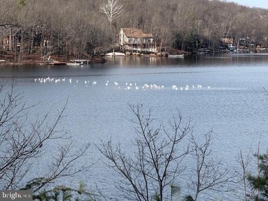 Lake Holiday Lot For Sale in Cross Junction Virginia