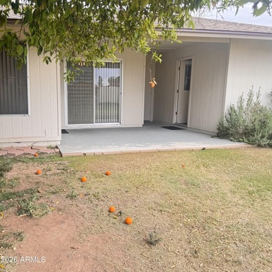 Move-in ready twin home in Sun City! 2 beds, 2 baths, 1-car - photo 22