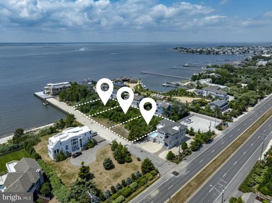 Three exceptional custom waterfront residences by Ziman - photo 3