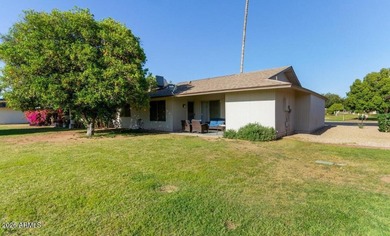 Move-in ready twin home in Sun City! 2 beds, 2 baths, 1-car - photo 26