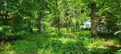 Lake Lot For Sale in Edgerton, Wisconsin