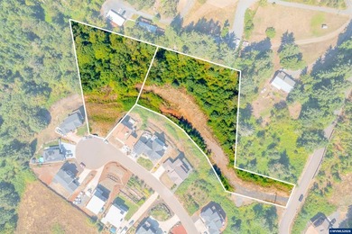 Foster Lake view 1.70-acre lot in a prime Sweet Home location! - photo 2