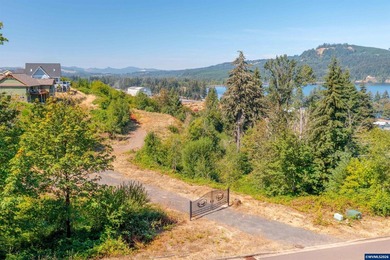 Foster Lake view 1.70-acre lot in a prime Sweet Home location! - photo 4