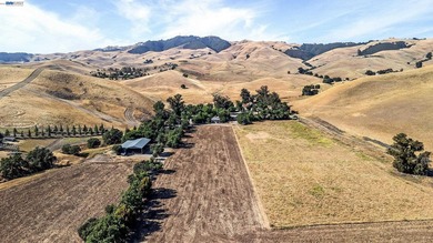 80 acres in the Historic Livermore Valley. End of road privacy - photo 2