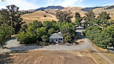 80 acres in the Historic Livermore Valley. End of road privacy - photo 3