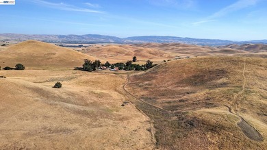 80 acres in the Historic Livermore Valley. End of road privacy - photo 4