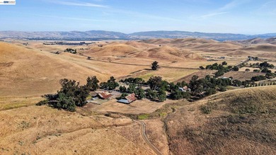 80 acres in the Historic Livermore Valley. End of road privacy - photo 5