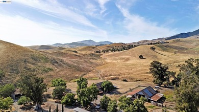 80 acres in the Historic Livermore Valley. End of road privacy - photo 6