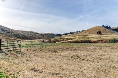 80 acres in the Historic Livermore Valley. End of road privacy - photo 8