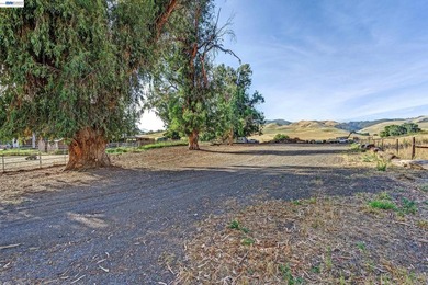 80 acres in the Historic Livermore Valley. End of road privacy - photo 9