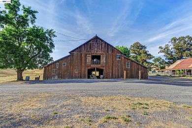 80 acres in the Historic Livermore Valley. End of road privacy - photo 10