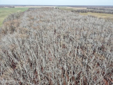 If you've been looking for a true waterfowl setup, this 37+/- - photo 4