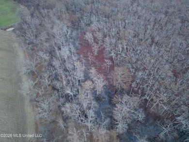 If you've been looking for a true waterfowl setup, this 37+/- - photo 6