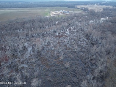 If you've been looking for a true waterfowl setup, this 37+/- - photo 7