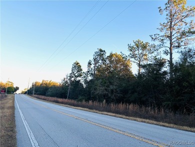 Bonable Lake Lot For Sale in Dunnellon Florida
