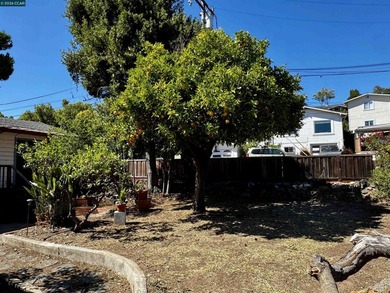 Property to be sold AS-IS. Cash or private lender financing only - photo 9