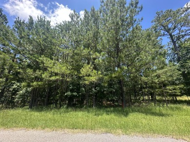 Strom Thurmond / Clarks Hill Lake Lot For Sale in Tignall Georgia