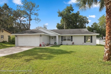 Lake Spivey Home For Sale in Inverness Florida