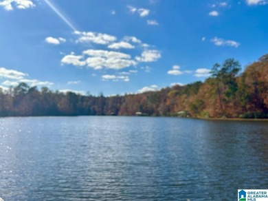 You will love this *ready to build* lakefront double lot with - photo 4