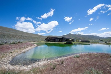 Experience one of the premier luxury horse properties in the - photo 37