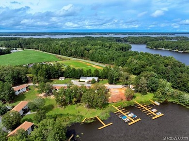 Experience the beauty of lakeside living in this exceptional - photo 6