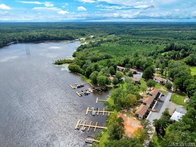 Experience the beauty of lakeside living in this exceptional - photo 8