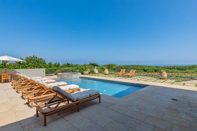 With approximately 200 feet of direct ocean frontage on one of - photo 10