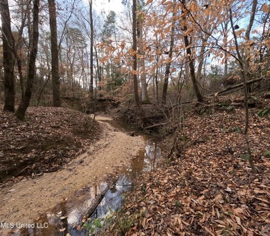 (private lake, pond, coastal) Acreage For Sale in Braxton Mississippi