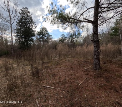 176 Acres near Mendenhall, MS The land is a strong mix for - photo 2