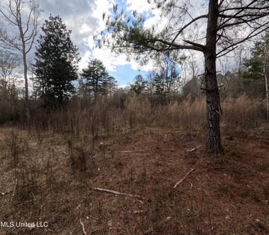 176 Acres near Mendenhall, MS The land is a strong mix for - photo 3