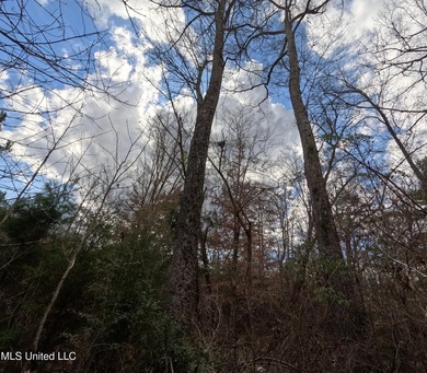 176 Acres near Mendenhall, MS The land is a strong mix for - photo 4