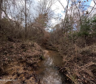 176 Acres near Mendenhall, MS The land is a strong mix for - photo 5