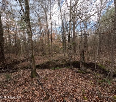 176 Acres near Mendenhall, MS The land is a strong mix for - photo 8