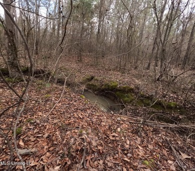 176 Acres near Mendenhall, MS The land is a strong mix for - photo 9