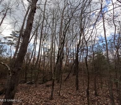 176 Acres near Mendenhall, MS The land is a strong mix for - photo 10