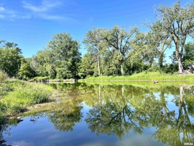 Upper Peoria Lake Acreage For Sale in Spring Bay Illinois