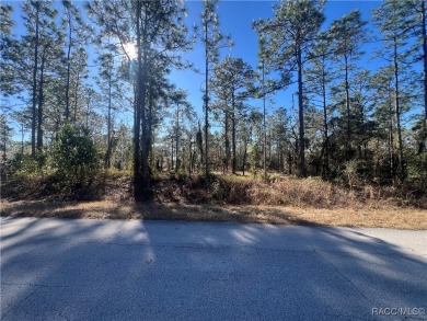 Lake Lot For Sale in Dunnellon, Florida