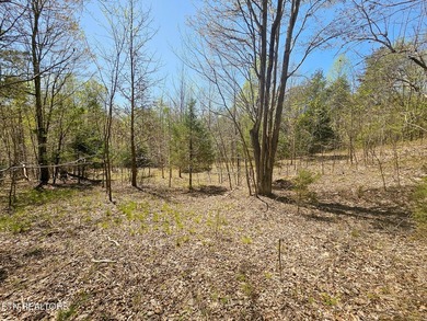 Very private 5.22 acres with one of very few properties with a - photo 1