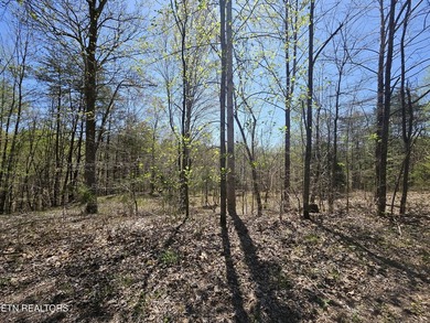 Very private 5.22 acres with one of very few properties with a - photo 2
