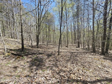 Very private 5.22 acres with one of very few properties with a - photo 3