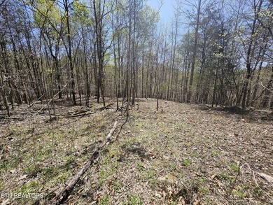 Very private 5.22 acres with one of very few properties with a - photo 4