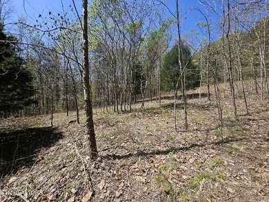 Very private 5.22 acres with one of very few properties with a - photo 5