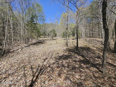 Very private 5.22 acres with one of very few properties with a - photo 6
