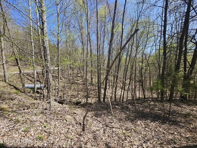 Very private 5.22 acres with one of very few properties with a - photo 7
