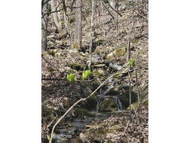 Very private 5.22 acres with one of very few properties with a - photo 8