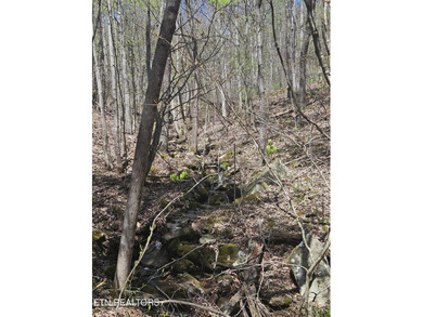 Very private 5.22 acres with one of very few properties with a - photo 9