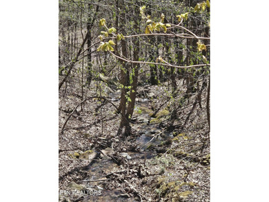 Very private 5.22 acres with one of very few properties with a - photo 10