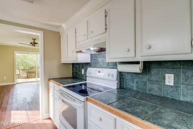 BACK ON MARKET AT NO FAULT OF THE SELLER! Previous contract fell - photo 8